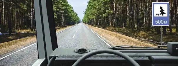 Билет 17, вопрос 12: иллюстрация